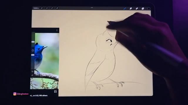 Sketching a Bird смотреть онлайн