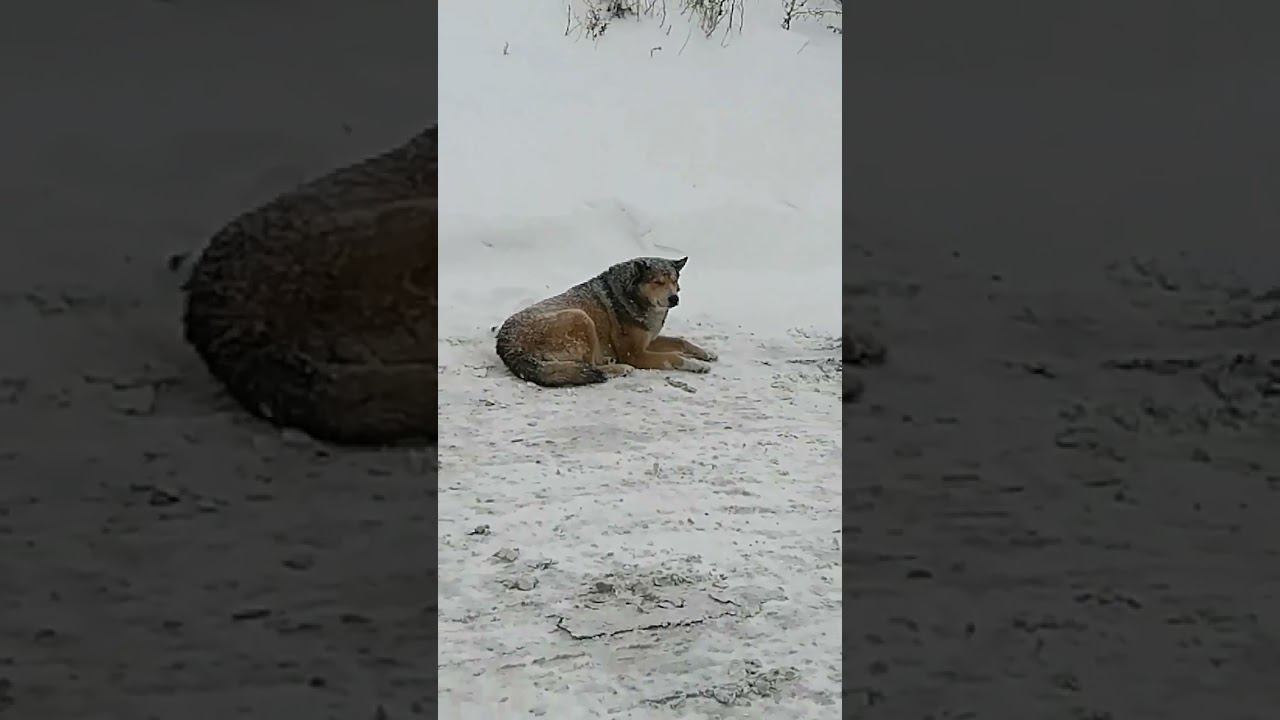 21 декабря 2023 г.