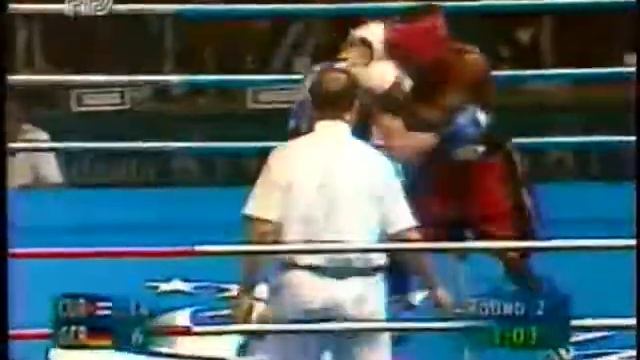 Cuba Boxer Vs Germany Boxer