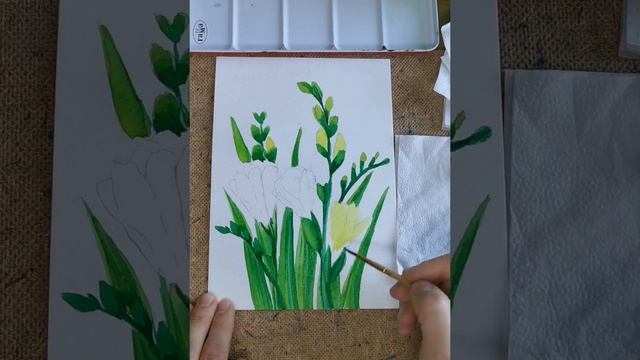 ФРЕЗИЯ.РИСУЕМ АКВАРЕЛЬЮ смотреть онлайн