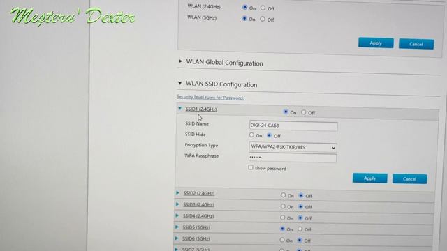 Schimbare Nume Retea Si Parola Router Digi | ZTE - ZXHN H298A