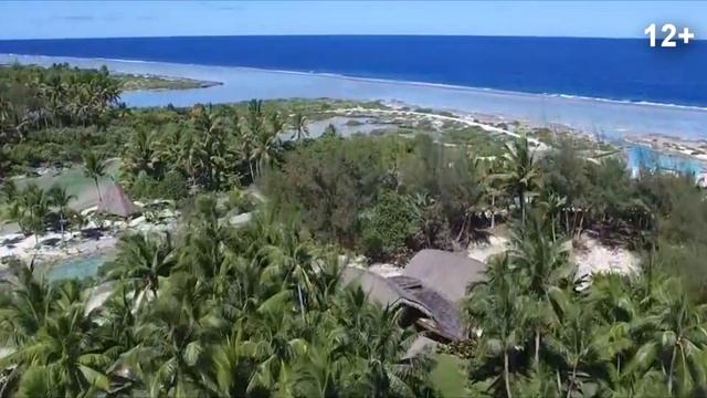 Зачем ехать на Таити? Минусы и плюсы! смотреть онлайн