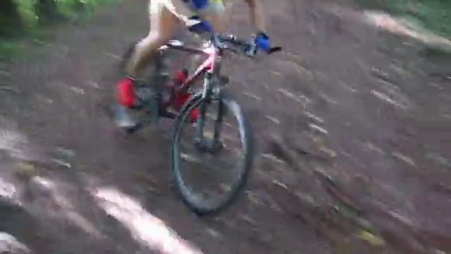 author introvert смотреть онлайн