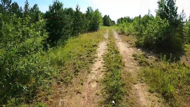 Прогулка по лесу вокруг аэропорта города Ухта смотреть онлайн