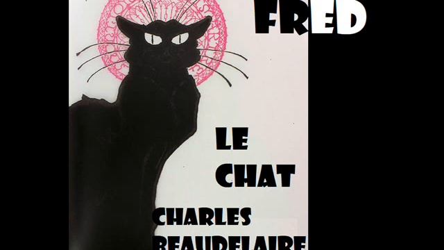 Le chat de Charles Baudelaire par Fred смотреть онлайн