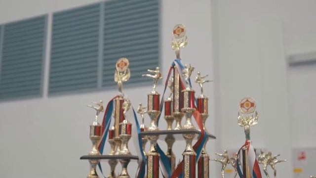 Чемпионат Москвы ИКО киокушинкай 2015 смотреть онлайн