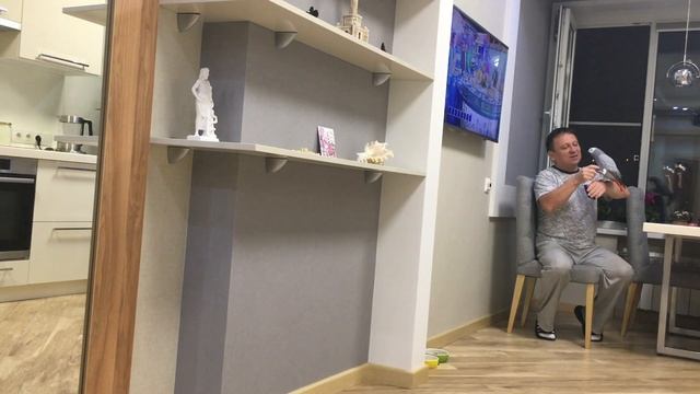 попугай жако Кирюша летает по квартире смотреть онлайн