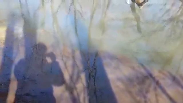 Река Путынка сегодня смотреть онлайн