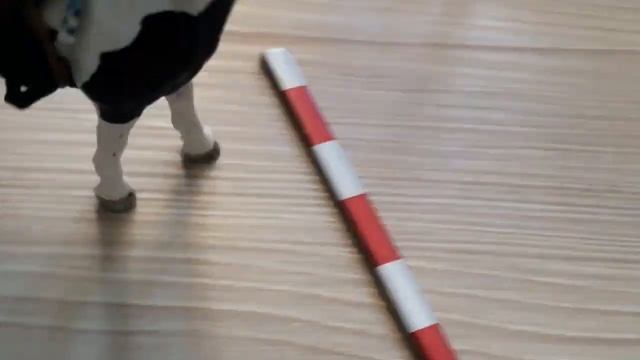 Типы лошадей ШЛЯЙХ ????? смотреть онлайн