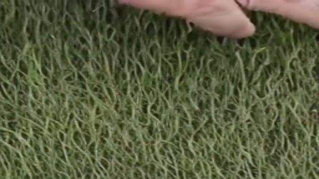 [AI] Discord mod touching grass for the first time смотреть онлайн