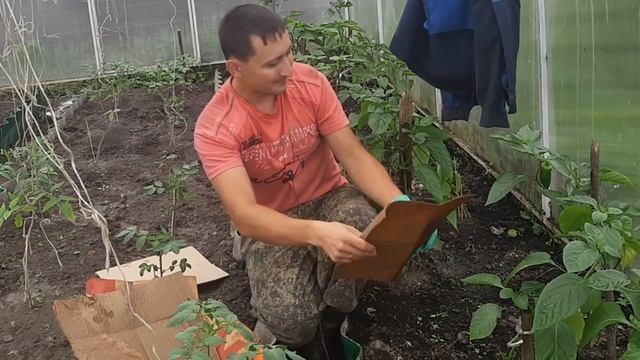 Доступное бюджетное мульчирование грядок! Без травы, соломы и укрывного материала! смотреть онлайн