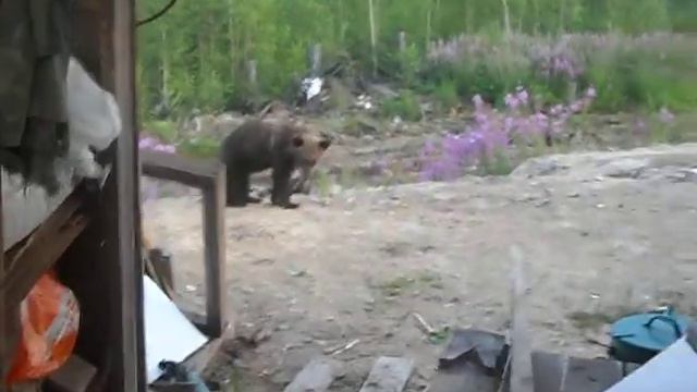 щас она ему поймает смотреть онлайн