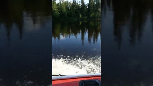 CompAs 400 + Suzuki DT15 тащит на буксире по реке Rib Winboat смотреть онлайн