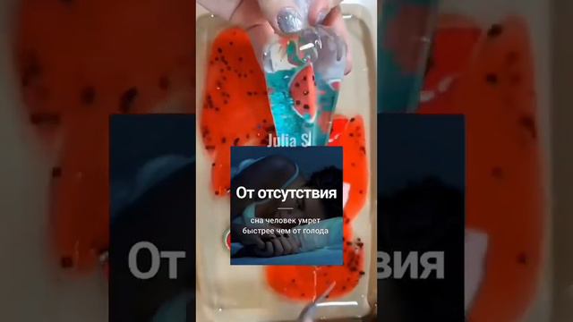 Откуда взялись эти животные?!😱 смотреть онлайн