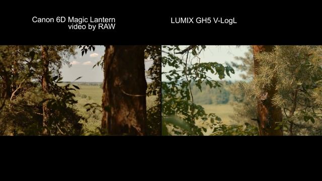 Canon6D RAW video vs Lumix GH5 V-LogL смотреть онлайн