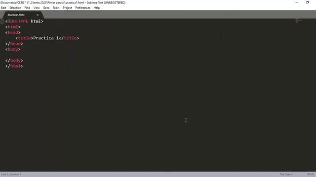 practica 1.1 смотреть онлайн