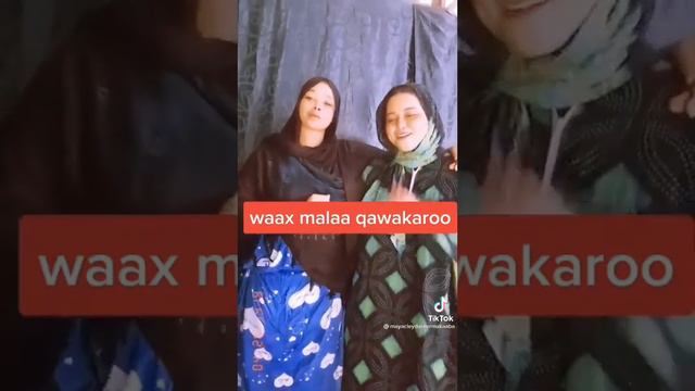NIIKO CUSUB NAAG DABO WEYN WEREEJINEYSO XXX смотреть онлайн