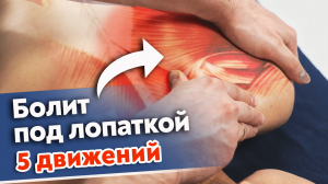 Болит ЛОПАТКА — что делать?
Пять массажных движений от боли в зоне лопаток.