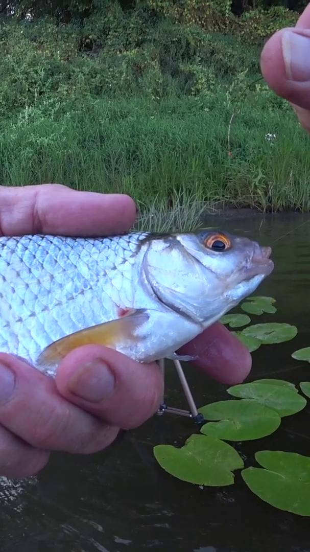 МОРМЫШКА В ШАХТЕ. смотреть онлайн