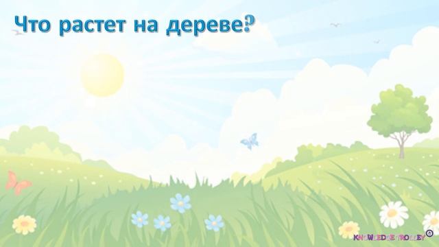 Тест для детей "Фрукты, ягоды и овощи" Часть 3 смотреть онлайн
