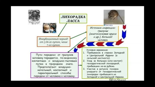 Лекция Санитарные мероприятия в условиях биологической ЧС презентация+видеолекция смотреть онлайн