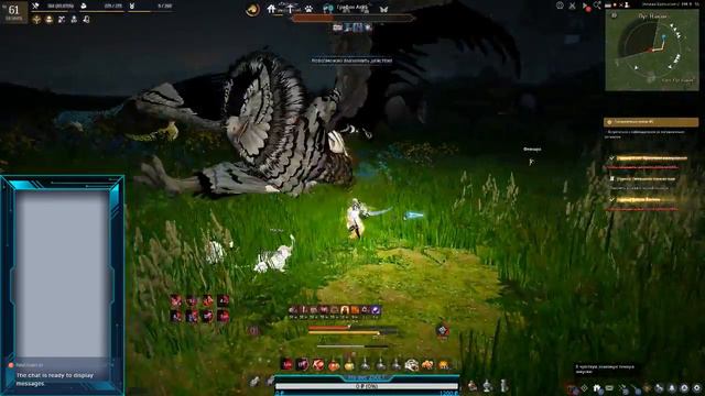 Black desert BDO БДО lahn/Лан . 61lvl Фарм фарм фарм... смотреть онлайн