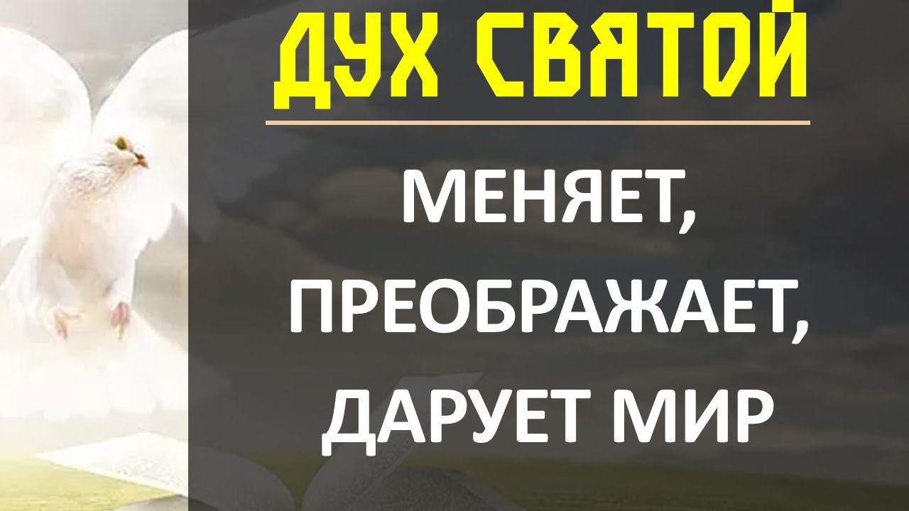 Дух Святой меняет , преображает, дарует мир | Константин Блинов смотреть онлайн