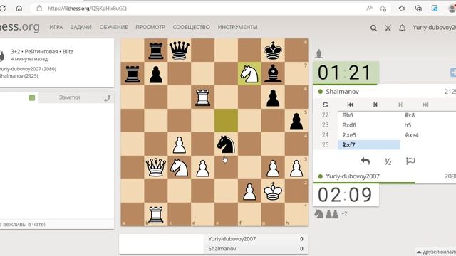 Шахматы (видео 04)