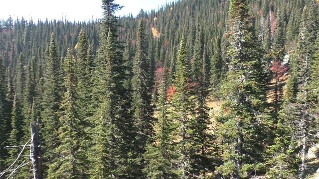 В выходной на Мегалиты смотреть онлайн