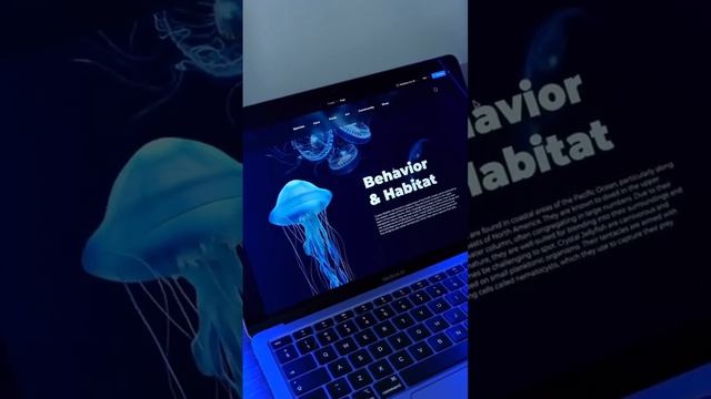 3D animation using figma and dora ? #figma #dora #uidesign #3d © смотреть онлайн