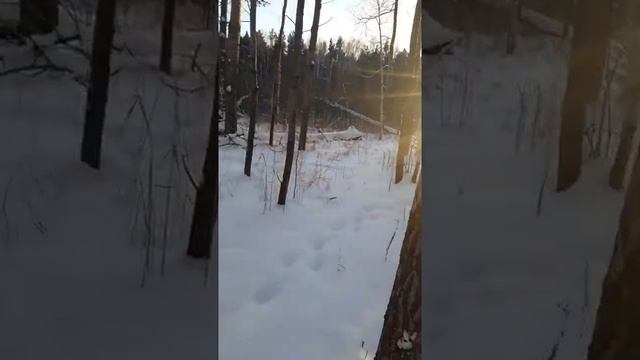Лыжный поход на войновские горки Тюмень смотреть онлайн