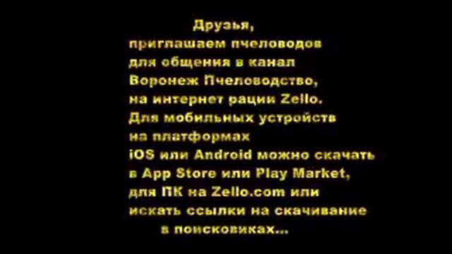 Встреча В Г Кашковского с пчеловодами на канале Воронеж Пчеловодство на интернет рации Zello смотреть онлайн