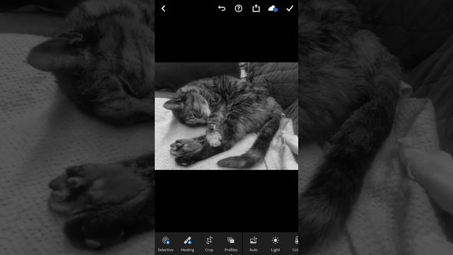 iPhone Export .png to .jpeg смотреть онлайн