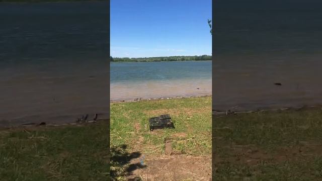Черёмушки. Рыбалка в Большеглушицком районе. Самара. Степное водохранилище. смотреть онлайн