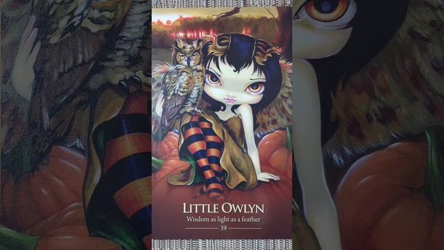 Little Owlyn (39) ? Oracle of the Shapeshifters card meaning смотреть онлайн