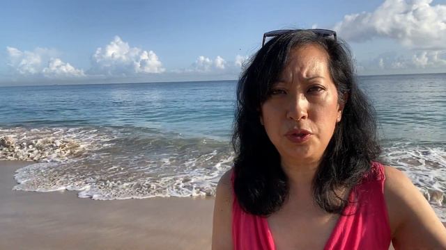 What Does It Cost To Live in Mexico? Workshop Series - Puerto Vallarta, Cabo, San Miguel and More! смотреть онлайн