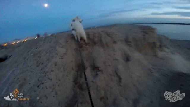 Драйленд Хабаровск 2016г. - Бесснежные виды ездового спорта. смотреть онлайн