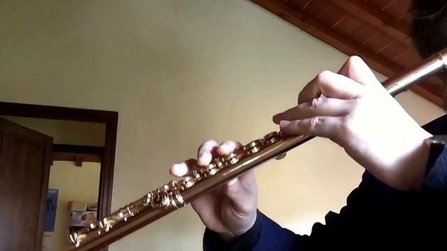 J. S. Bach Partita for flute solo Sarabanda extract - Eastern Warm-Up Andrea Oliva flauto-flute смотреть онлайн