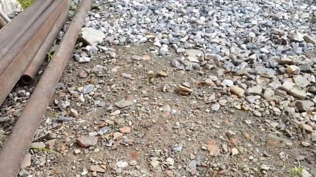 Крысу поймал и она была казнена ... смотреть онлайн