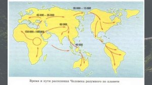 Биология 11 кл Теремов §38 Человеческие расы