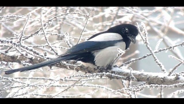 Зимовий ранок на селі. Богдан Лепкий смотреть онлайн