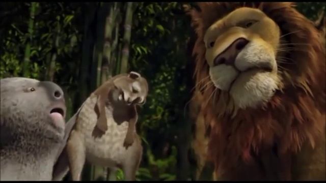 the wild funny koala смотреть онлайн