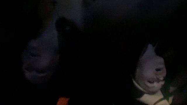slow dancing in the dark — Joji смотреть онлайн