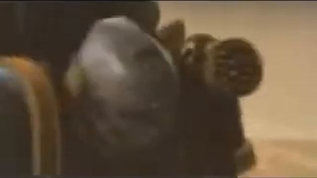 Dawn Of War II (Вперед Ультрамарины)