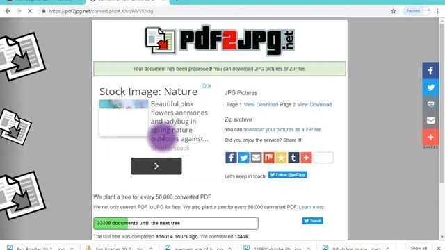 pdf to jpg смотреть онлайн
