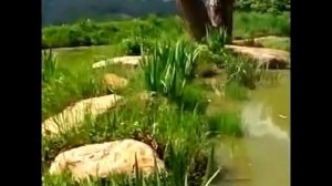 Пермакультура Зепп Хольцер .ზეპ ჰოლცერი. პერმაკულტურა