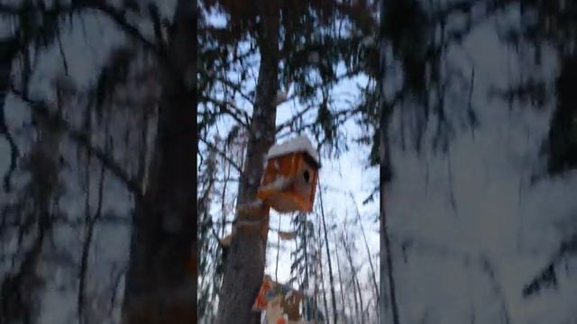 Красивая природа на севере в Новом Уренгое!!!! смотреть онлайн