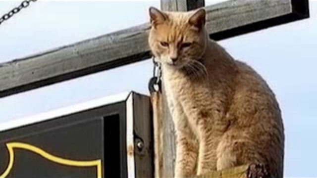 Факультатив 18_03 смотреть онлайн