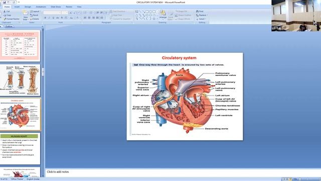 KK23 - X ICSE BIOLOGY SPD (L02) 03/09/2022 - Fundamentals Of Genetics смотреть онлайн