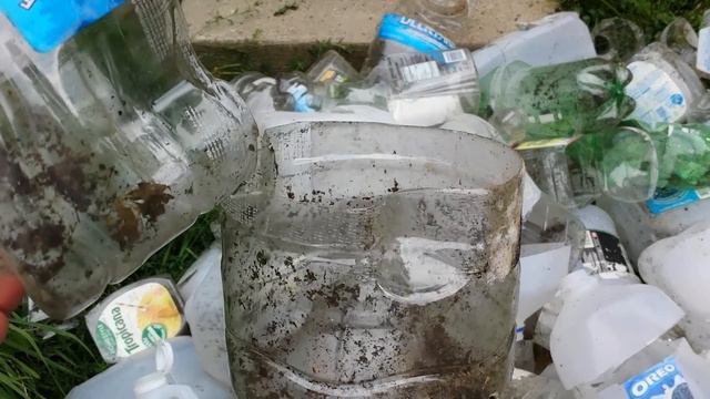 Winter Sowing Containers - Reuse 'Em Or Toss 'Em? (What To Do With Your Mini-Greenhouses)